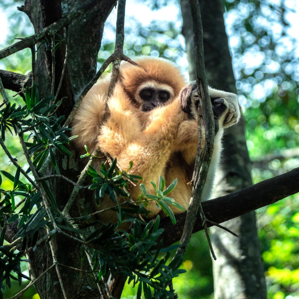 Roadtrip entlang der Garden Route